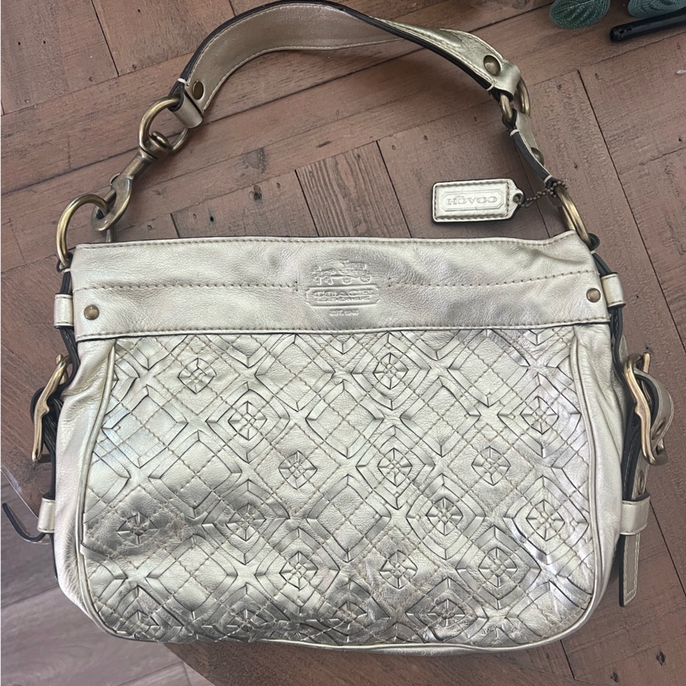 Metallic Leather Woven Coach Bag